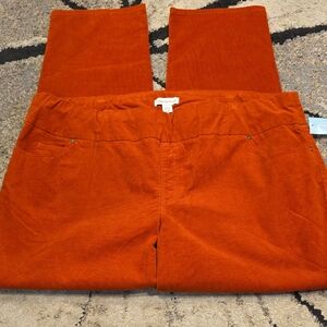 💥NEW!💥 Coldwater Creek Womens Orange Pants - SIZE 22W